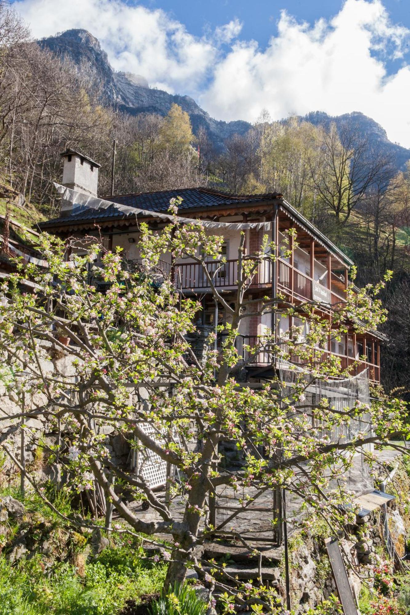 Bed And Breakfast Da Toldo Russo Eksteriør billede